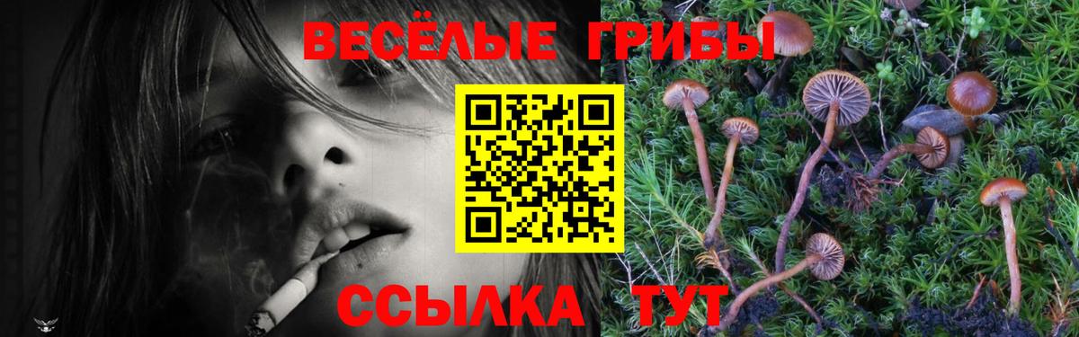 Галлюциногенные грибы Psilocybine cubensis  Вход с VPN  Галлюциногенные грибы Psilocybe  Новодвинск 